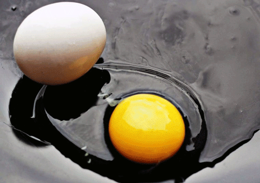 Seu mundo é um ovo? | Atibaia | Phelipe Aquino Seu mundo é um ovo? | Atibaia | Phelipe Aquino