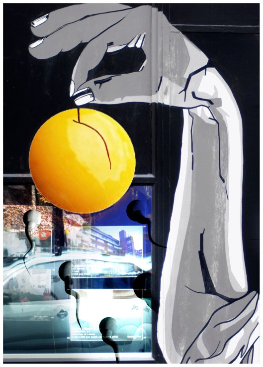 ovulation | London | R.Cambusano