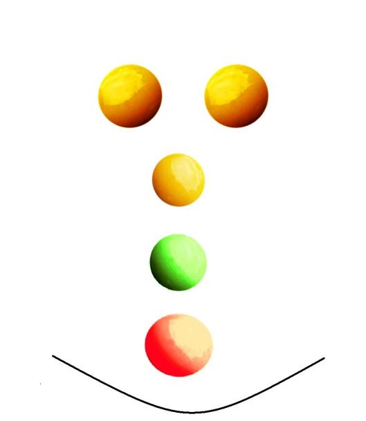 Ovoman | Curitiba | Marlon Anjos