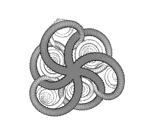 sincro | Jaguariúna | Tiago Spina