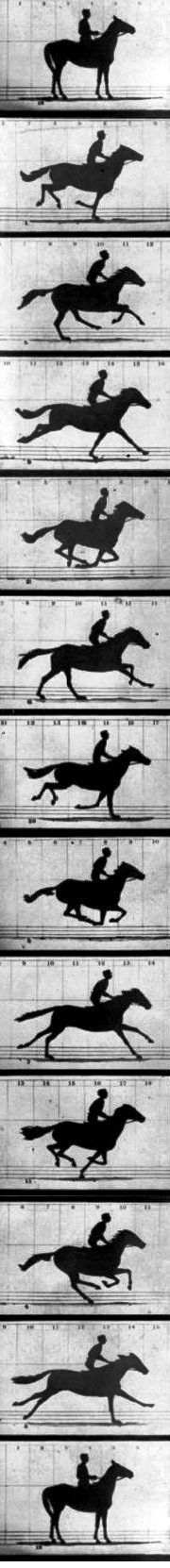 Eadweard | Webland | Marlon Anjos