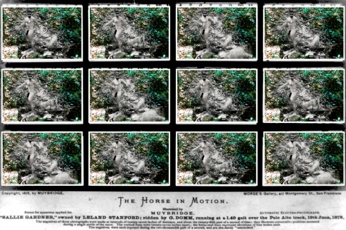 Muybridge iria surtar (3") | Atibaia | Jaime Scatena s/ E. Muybridge