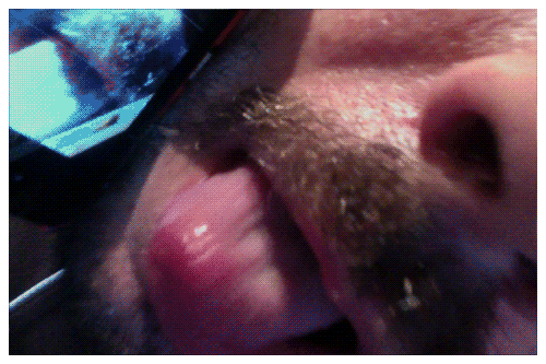 Lecarsi | Atibaia | Jaime Scatena