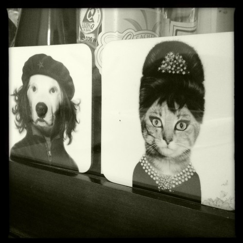 Anti-Revolucionário | São Paulo | Jaime Scatena