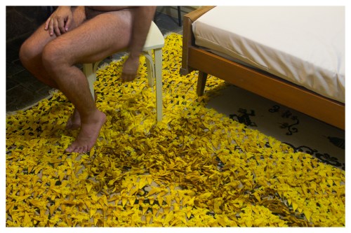 After Woodman | Atibaia | Jaime Scatena