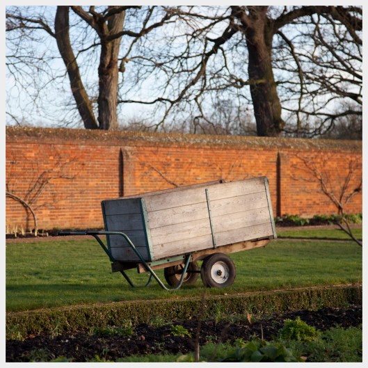 back garden  | Richmond  |  R.Cambusano