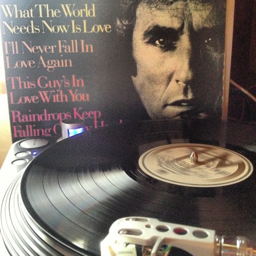 What the World needs | Atibaia | Jaime Scatena