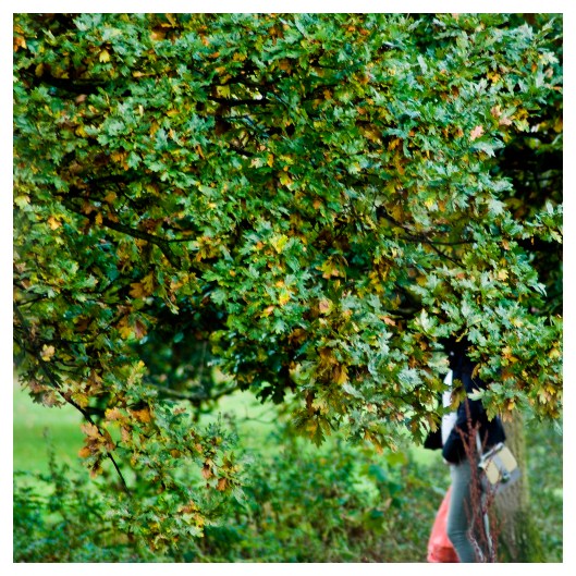 behind tenure  |  London | R.cambusano