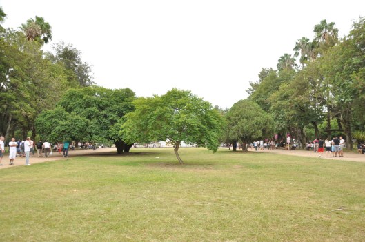 arranjos paisagísticos | Porto Alegre \ Gabriela Canale