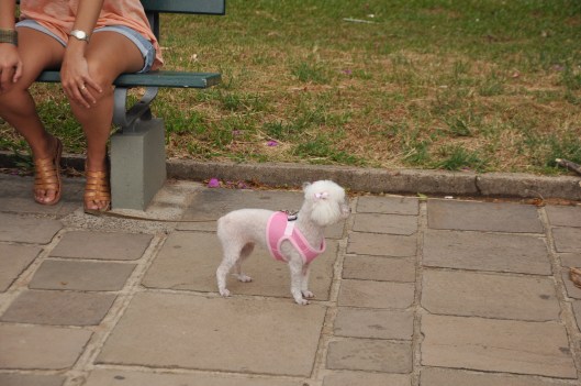 A PARTE DE UM TODO | Porto Alegre | Gabriela Canale