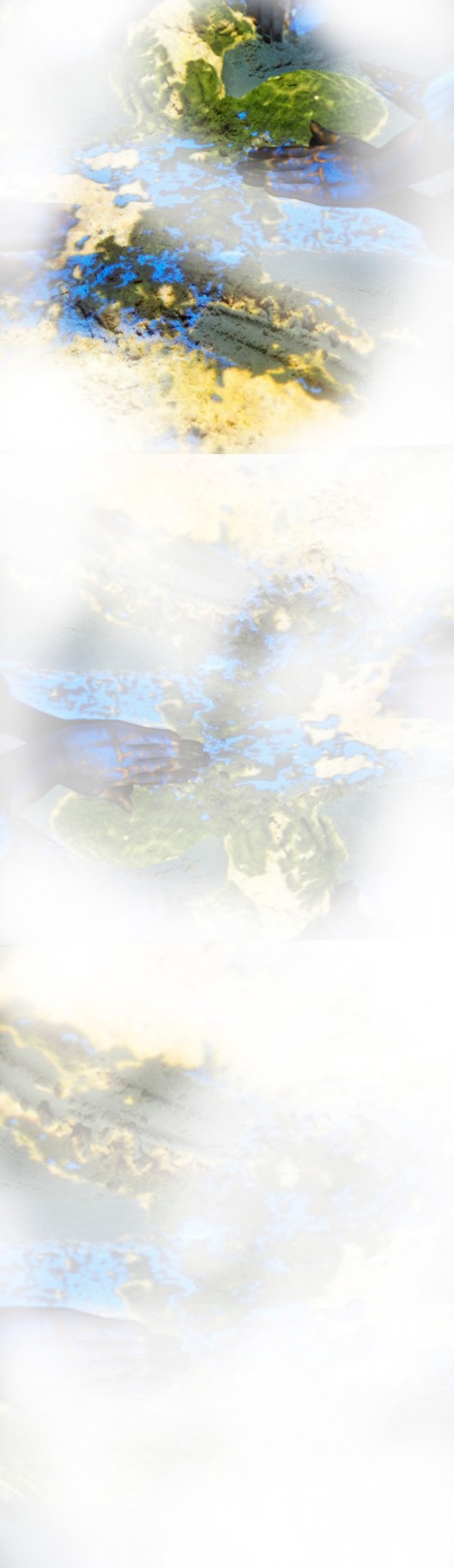 how to desappear completly | webland | Gabriela Canale