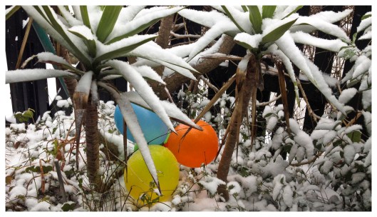 the feeling arising from the consciousness of enjoyment 1