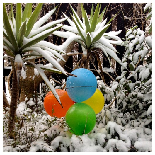 the feeling arising from the consciousness of enjoyment 2