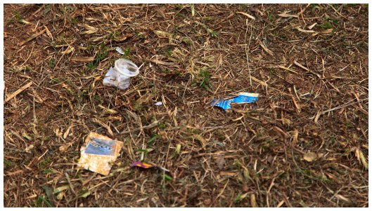 don't forget to clean up after carnival 2