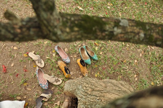 a festa começou | Guaíba \ Gabriela Canale