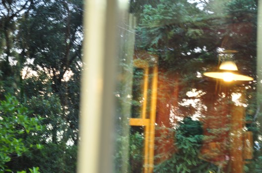 reflections | Morro Reuter \ Gabriela Canale