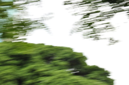 natureza vivida | Porto alegre | Gabriela Canale