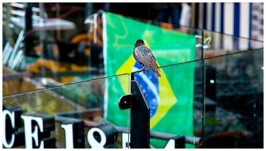 esperança será tudo que te resta  |  London  |  R.Cambusano