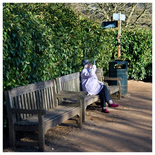 sunday sunshine at keenwood | London | R.Cambusano