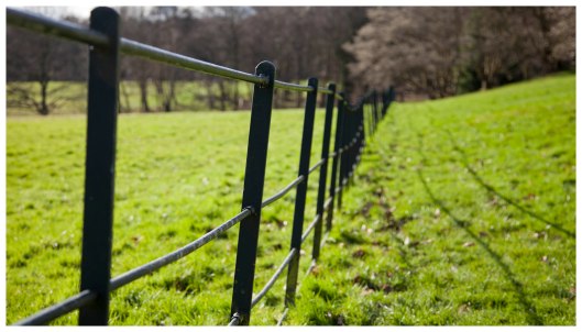 walking pass at Hampstead Park  | London  |R.Cambusano