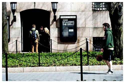 Stalking (Columbia) | New York | Jaime Scatena