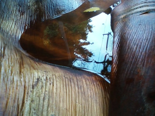 Reflecting sky | Porto Alegre | Margareth miola