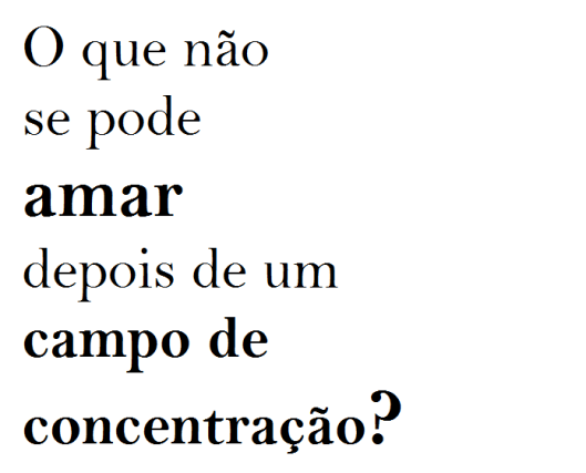 amor e caos | everywhere | Gabriela Canale