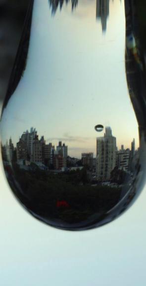 sedadic | Porto Alegre | Margareth Miola