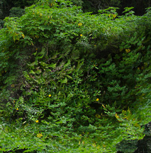 part of the sense and the rest is missing