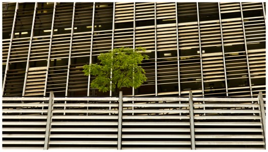 risking hope and the  healing process  | Sao Paulo | R.Cambusano