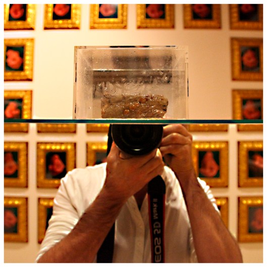 inside my head and gu dexin thought  | London | R.Cambusano