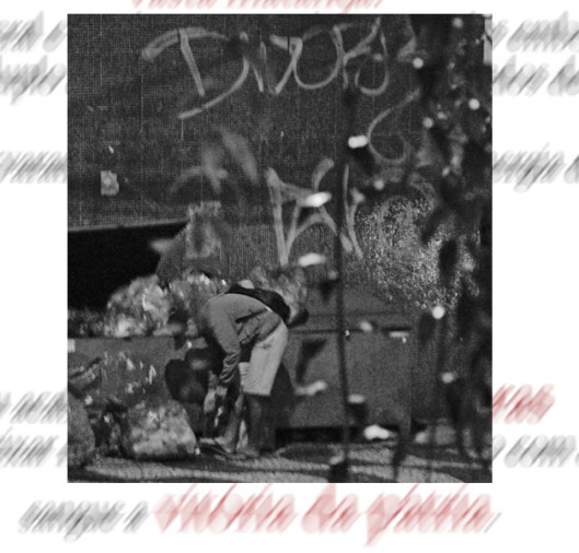 vitoria da patria | vitoria | Gabriela Canale