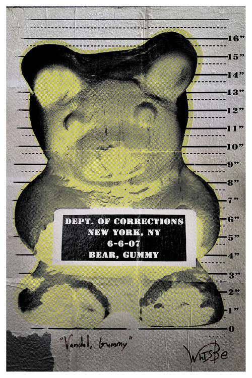 Have you seen this Bear? (Mug shot) | New York | Jaime Scatena