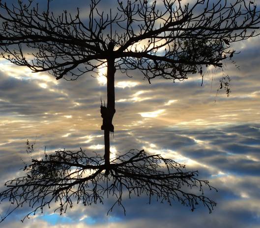 blank-mirror | webland | Gabriela Canale