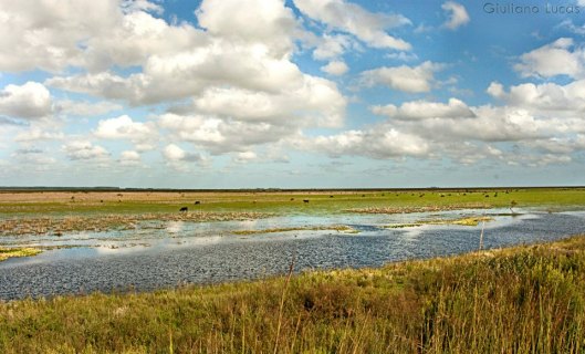 ceu de giuliano | Giuliano Lucas