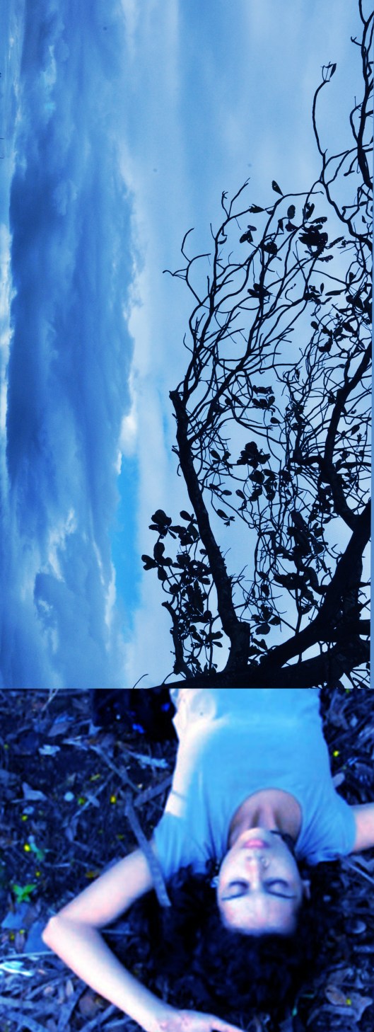 raízes aéreas | Vitória | Gabriela Canale gastando sobre performance de Moema Freitas