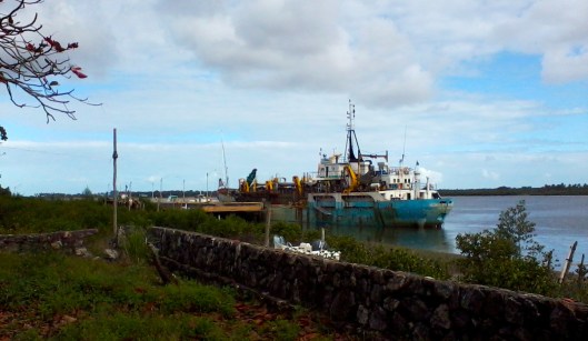 Landscaping |Caravelas | Gabriela Canale