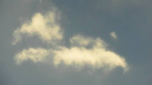 sem título | Serra (ES) | Moema Freitas