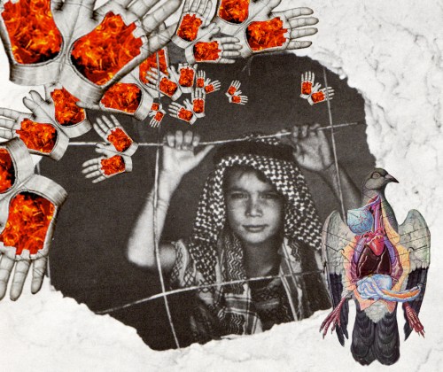 freedom_multigraphias