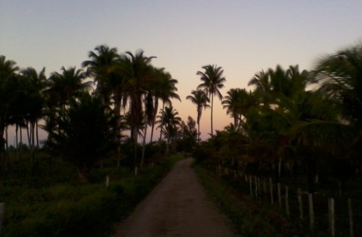 sempre tem um para sempre | Corumbau | Gabriela Canale