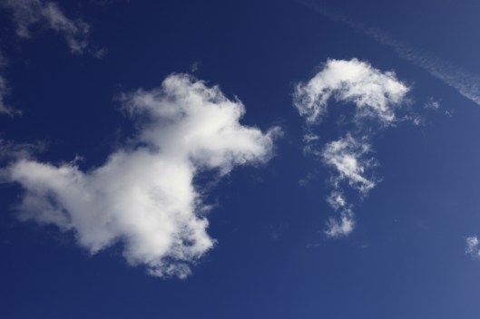 sky_dream_hot_dog | London | R.Cambusano