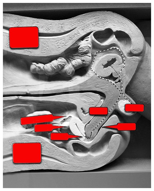 action on creation | Webland  | R.Cambusano
