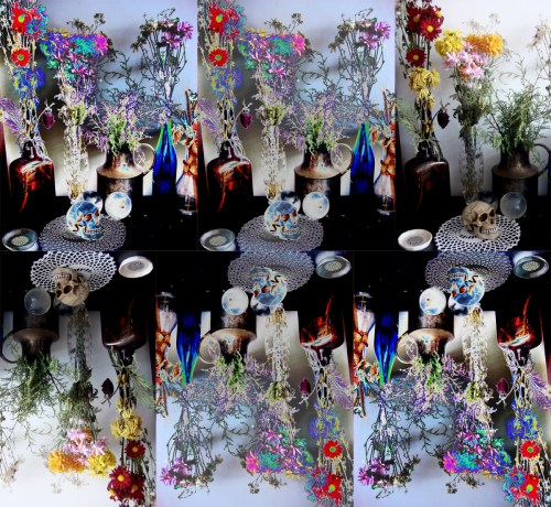 faz quase um ano 2multigraphias