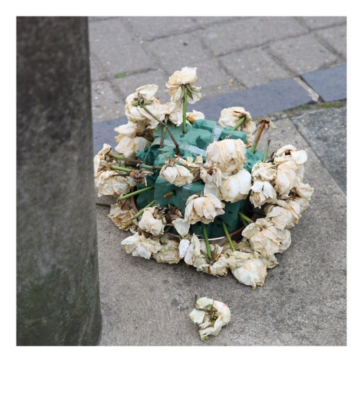 past through the present | Jacarei | R.Cambusano