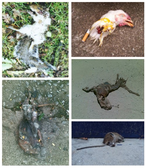 the sixth has arrived for those five_multigraphias_14102013