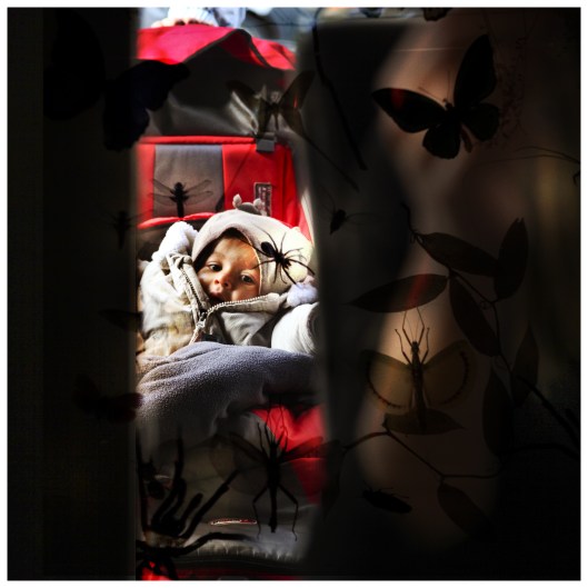 ultimate end of human existence consists in happiness |London | R.Cambusano