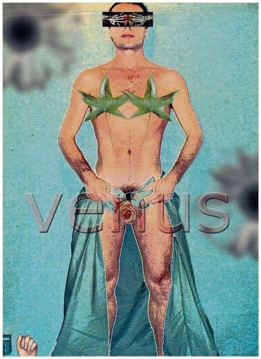 venus | Weblandia | R.Cambusano