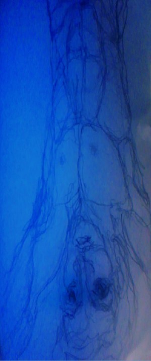 blue diver | Curitiba | Ygor Raduy 