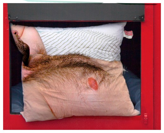 it is a cushion | London | r.cambusano