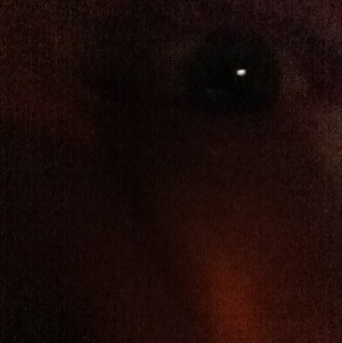 I Can Still c U n the Dark | Boston | Matthew Ivan Cherry